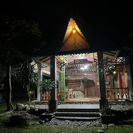 Pongo Guest House & Jungle Trekking Bukit Lawang Zewnętrze zdjęcie