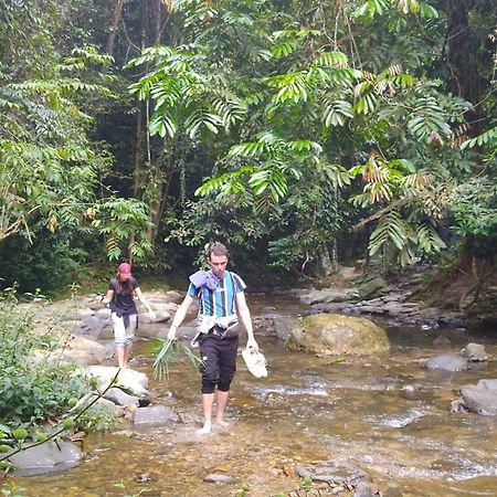 Pongo Guest House & Jungle Trekking Bukit Lawang Zewnętrze zdjęcie