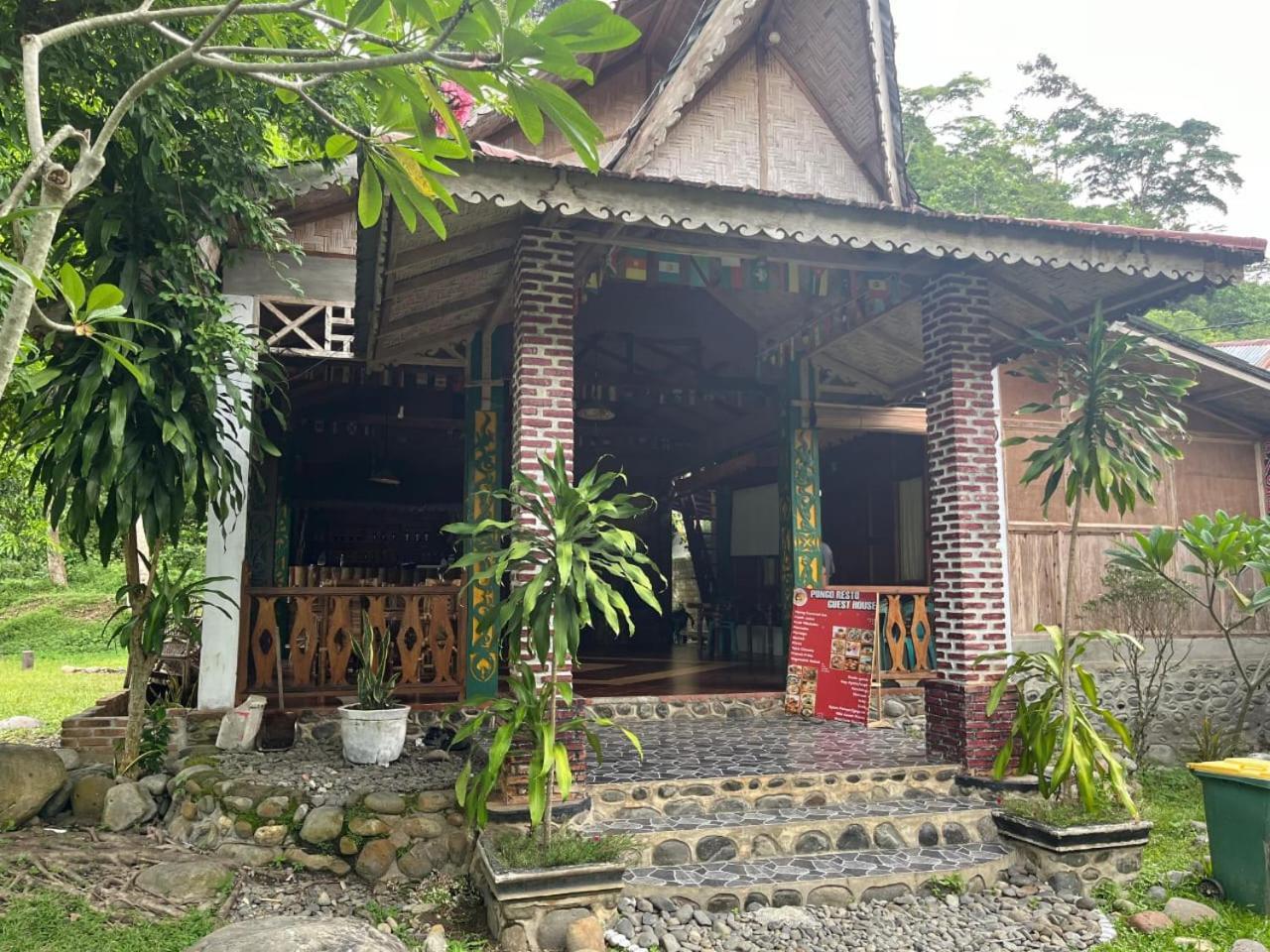 Pongo Guest House & Jungle Trekking Bukit Lawang Zewnętrze zdjęcie