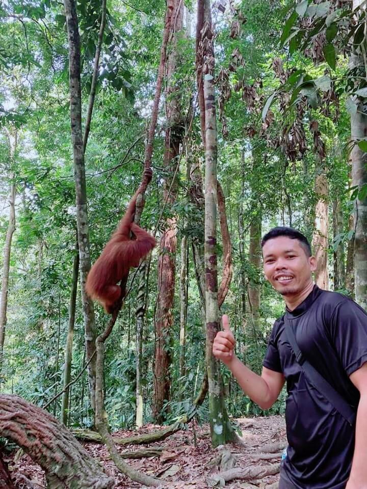 Pongo Guest House & Jungle Trekking Bukit Lawang Zewnętrze zdjęcie
