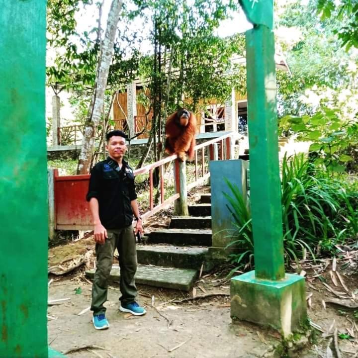 Pongo Guest House & Jungle Trekking Bukit Lawang Zewnętrze zdjęcie