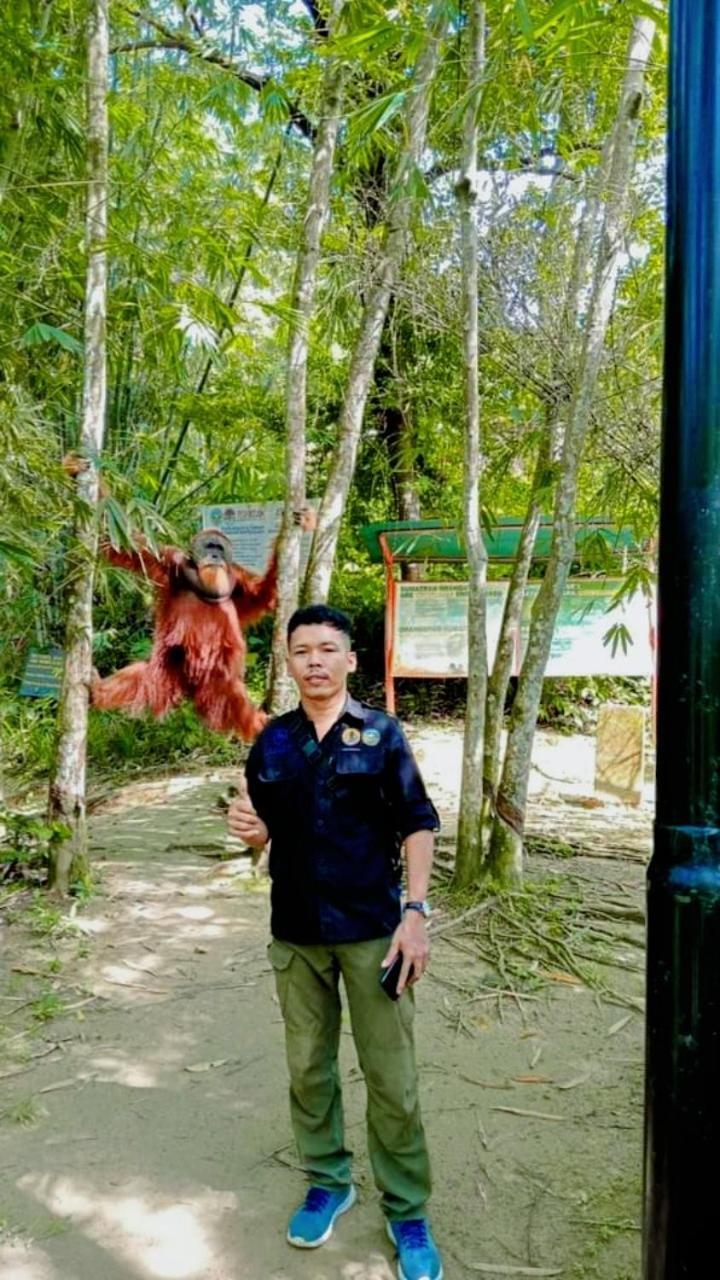 Pongo Guest House & Jungle Trekking Bukit Lawang Zewnętrze zdjęcie
