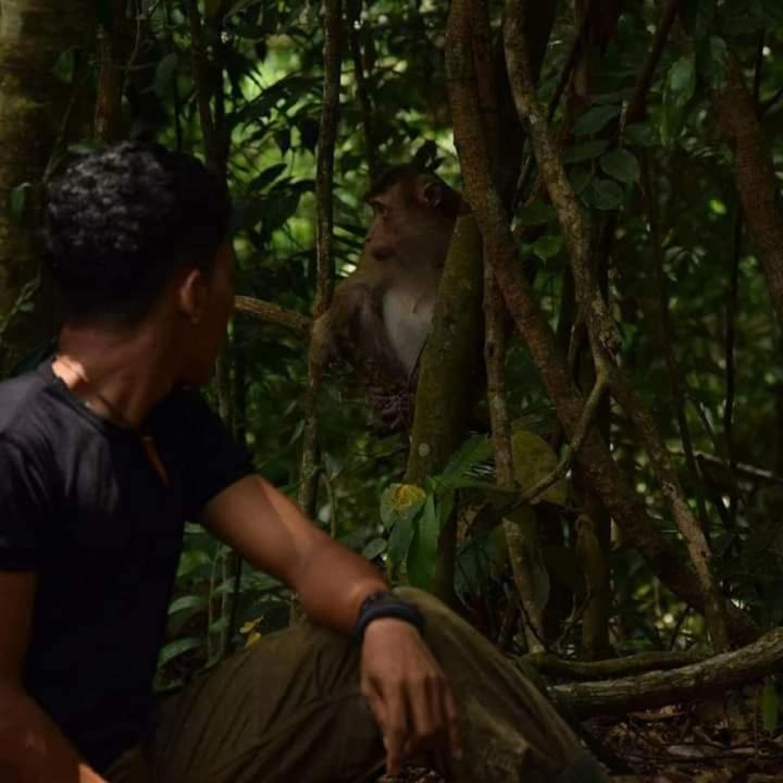 Pongo Guest House & Jungle Trekking Bukit Lawang Zewnętrze zdjęcie