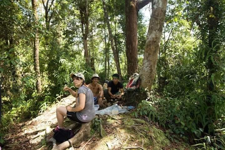 Pongo Guest House & Jungle Trekking Bukit Lawang Zewnętrze zdjęcie