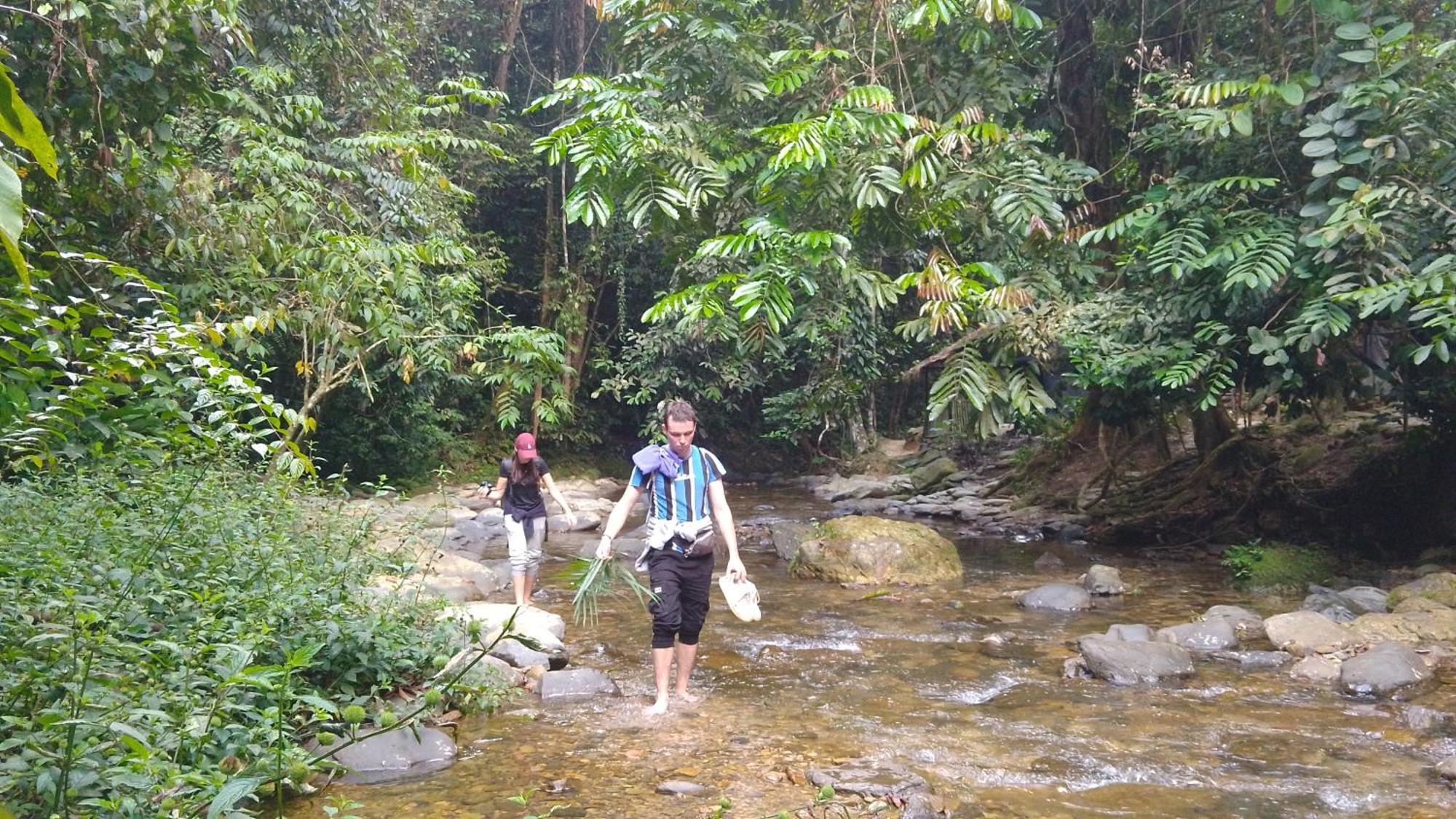 Pongo Guest House & Jungle Trekking Bukit Lawang Zewnętrze zdjęcie